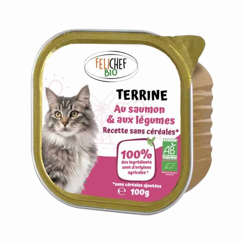Terrine au saumon et légumes